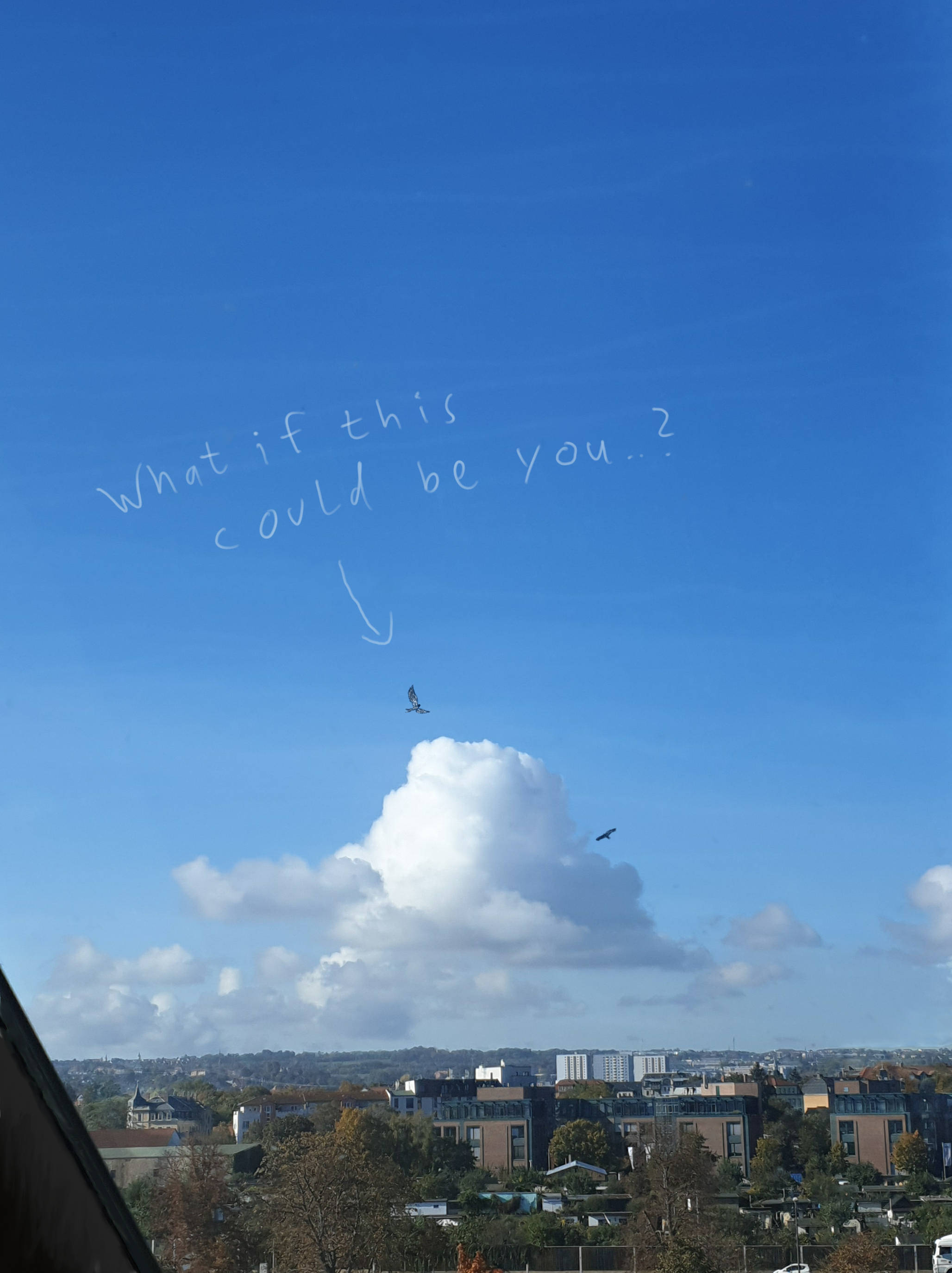 Flying Dreams